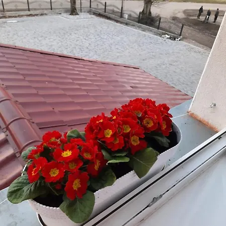 W Palacu Pod Czerwonym Bukiem U Stanickich * Choczewo